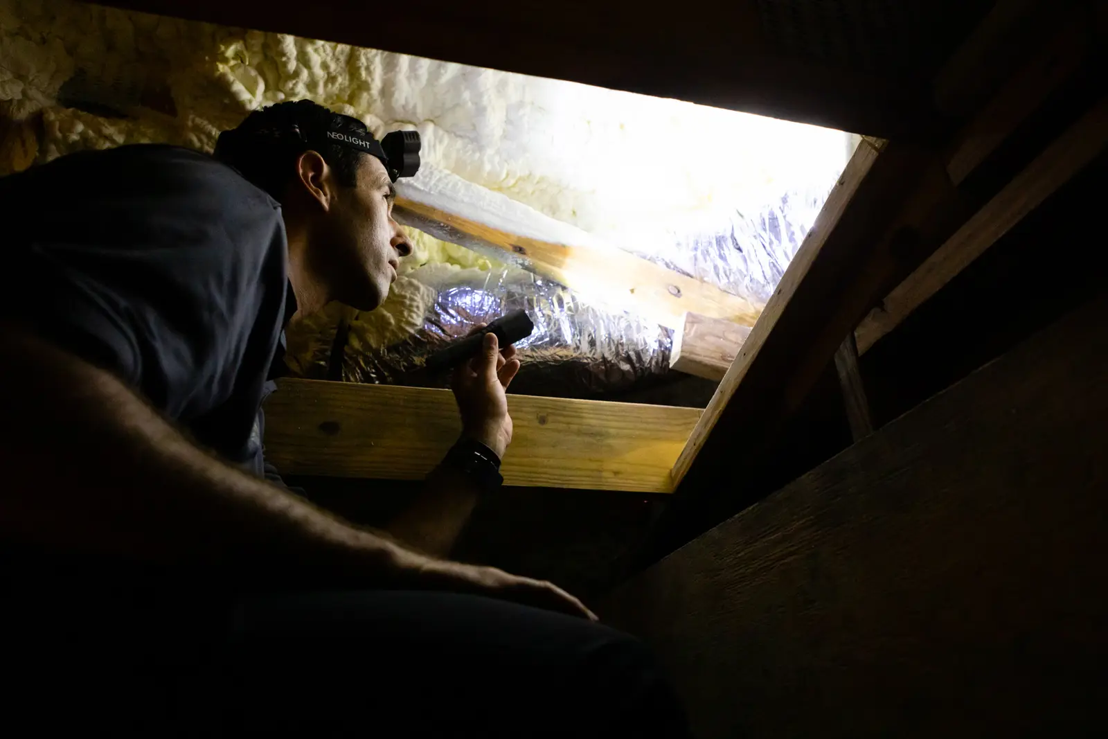 Termite / WDO Inspection